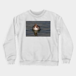 Mrs. Red-breasted Merganser Crewneck Sweatshirt